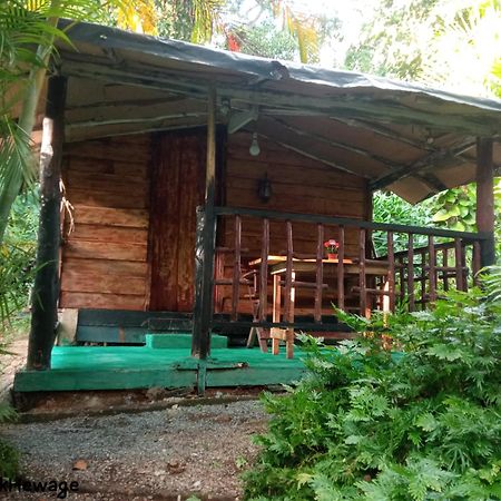 My House Ахангама Стая снимка