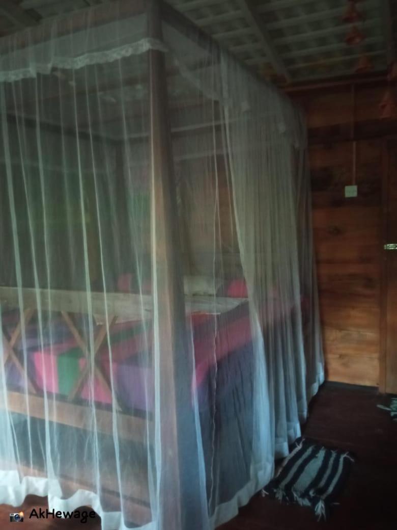 My House Ахангама Стая снимка
