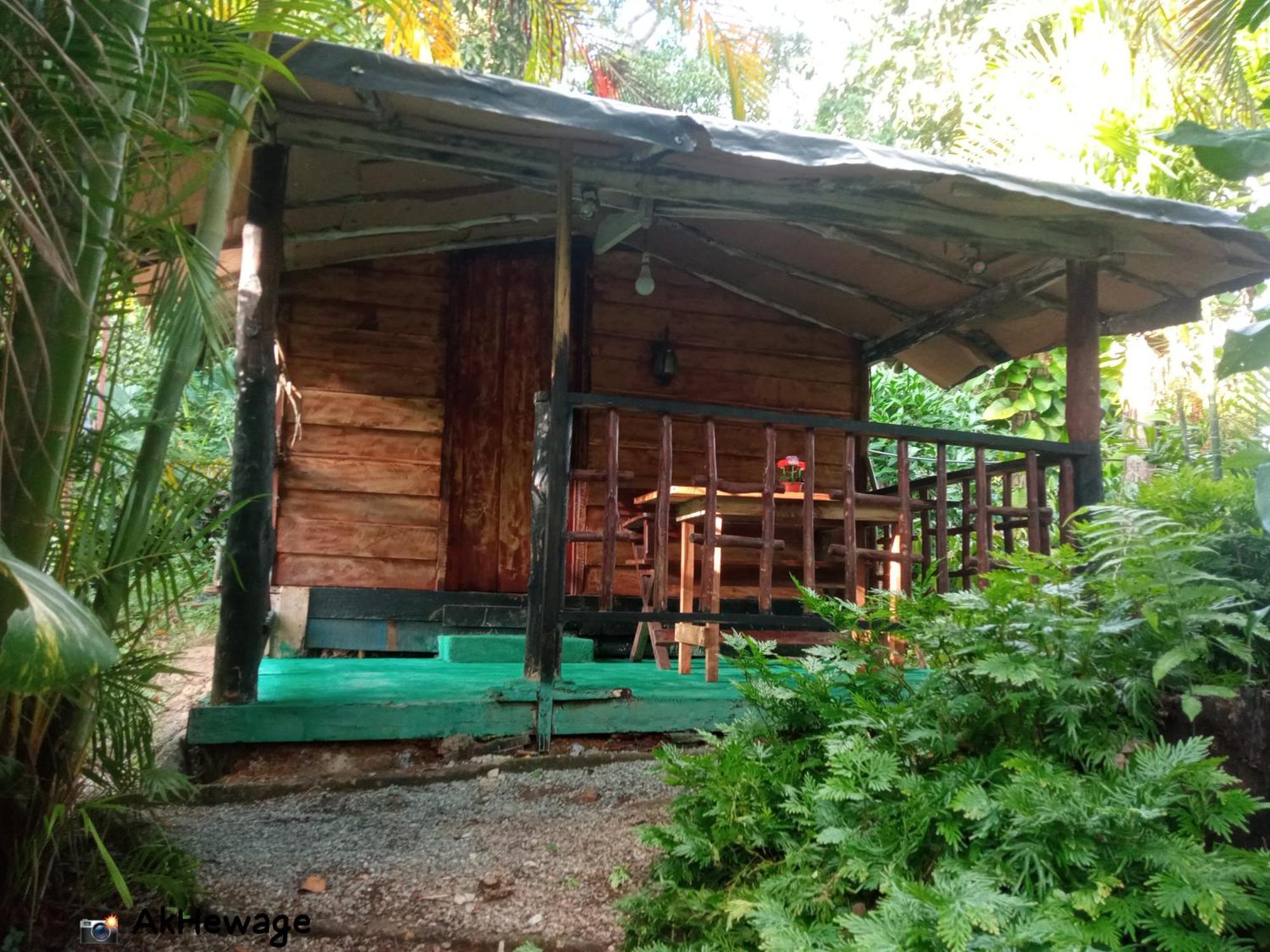 My House Ахангама Стая снимка